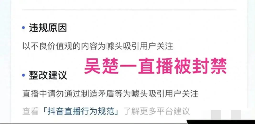 吴楚一新录音曝光后，网友扎心评论：活该，玩大了吧