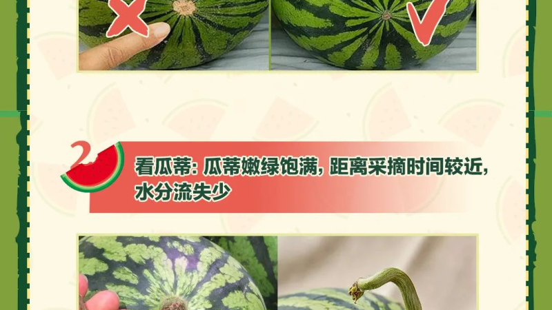  🍉 今日热门吃瓜大揭秘 🍉